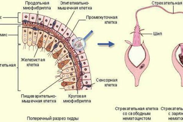 Кракен питер